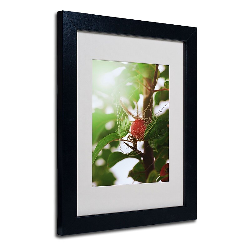 Trademark Philippe Sainte-Laudy "Sheltered" Art, White Matte With Black Frame, 11" x 14" image 1