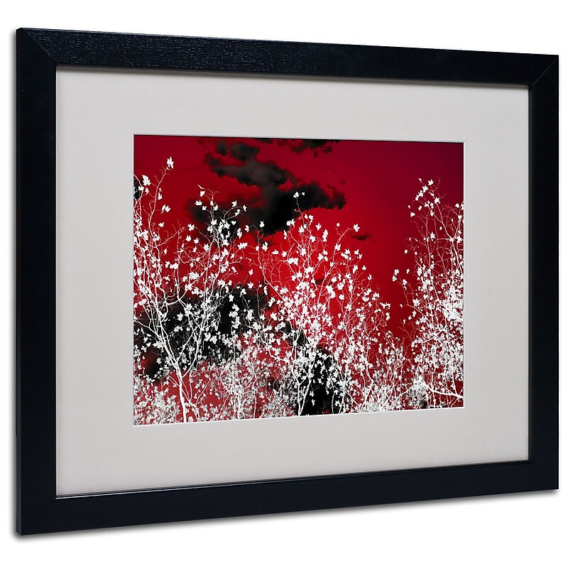 Trademark Philippe Sainte-Laudy "Skyfall" Art, White Matte With Black Frame, 16" x 20" image 1