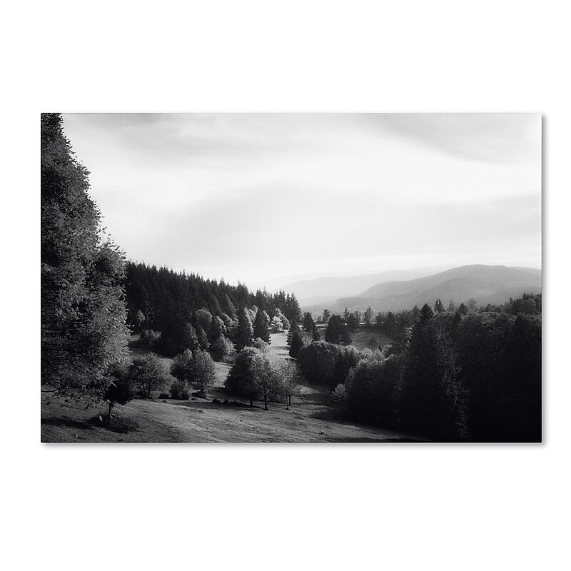 Trademark Philippe Sainte-Laudy "Spotlight" Gallery-Wrapped Canvas Art, 22" x 32" image 1