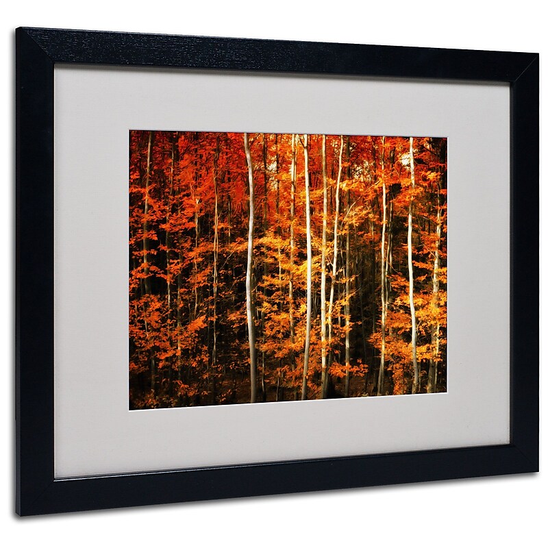 Trademark Philippe Sainte-Laudy "Still Painting" Art, White Matte With Black Frame, 16" x 20" image 1