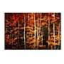 Trademark Philippe Sainte-Laudy "Still Painting" Gallery-Wrapped Canvas Art, 30" x 47"~#|#~m001703500_sc7