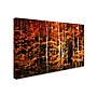 Trademark Philippe Sainte-Laudy "Still Painting" Gallery-Wrapped Canvas Art, 30" x 47"~#|#~m001703501_sc7