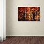 Trademark Philippe Sainte-Laudy "Still Painting" Gallery-Wrapped Canvas Art, 30" x 47"~#|#~m001703502_sc7