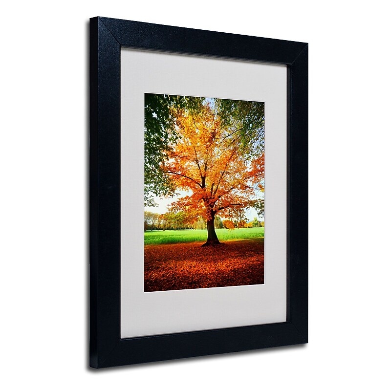 Trademark Philippe Sainte-Laudy "Tout Feu" Art, White Matte With Black Frame, 11" x 14" image 1