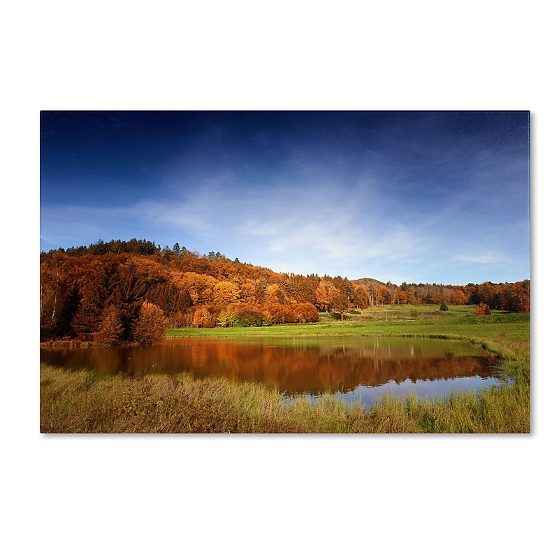 Trademark Philippe Sainte-Laudy "Vosges Fall" Gallery-Wrapped Canvas Art, 16" x 24" image 1