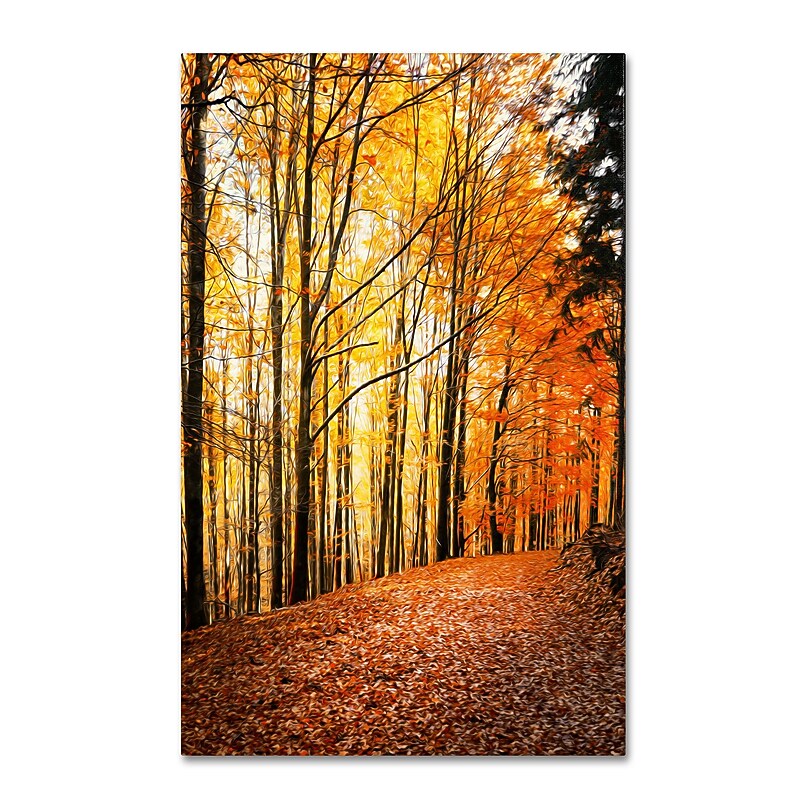 Trademark Philippe Sainte-Laudy "Yellow Moment" Gallery-Wrapped Canvas Art, 22" x 32" image 1