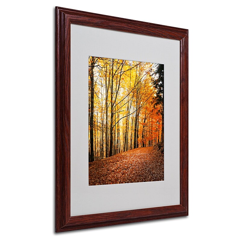 Trademark Philippe Sainte-Laudy "Yellow Moment" Art, White Matte With Wood Frame, 16" x 20" image 1