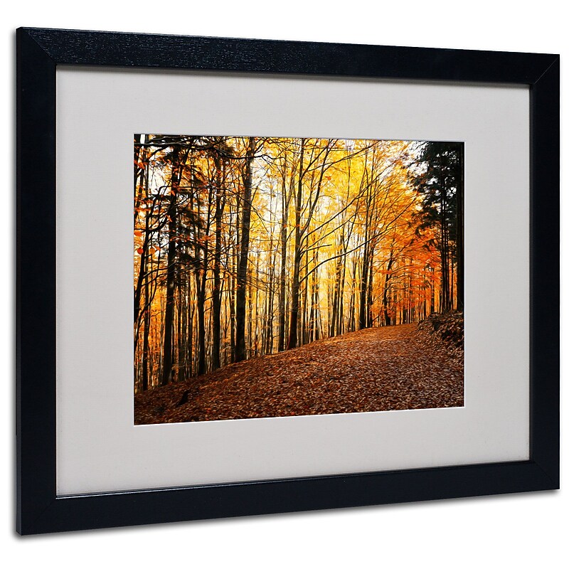 Trademark Philippe Sainte-Laudy "Autumn Leaves" Art, White Matte With Black Frame, 16" x 20" image 1