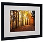 Trademark Philippe Sainte-Laudy "Autumn Leaves" Art, White Matte With Black Frame, 16" x 20"~#|#~m001703576_sc7