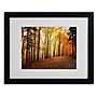 Trademark Philippe Sainte-Laudy "Autumn Leaves" Art, White Matte With Black Frame, 16" x 20"~#|#~m001703577_sc7
