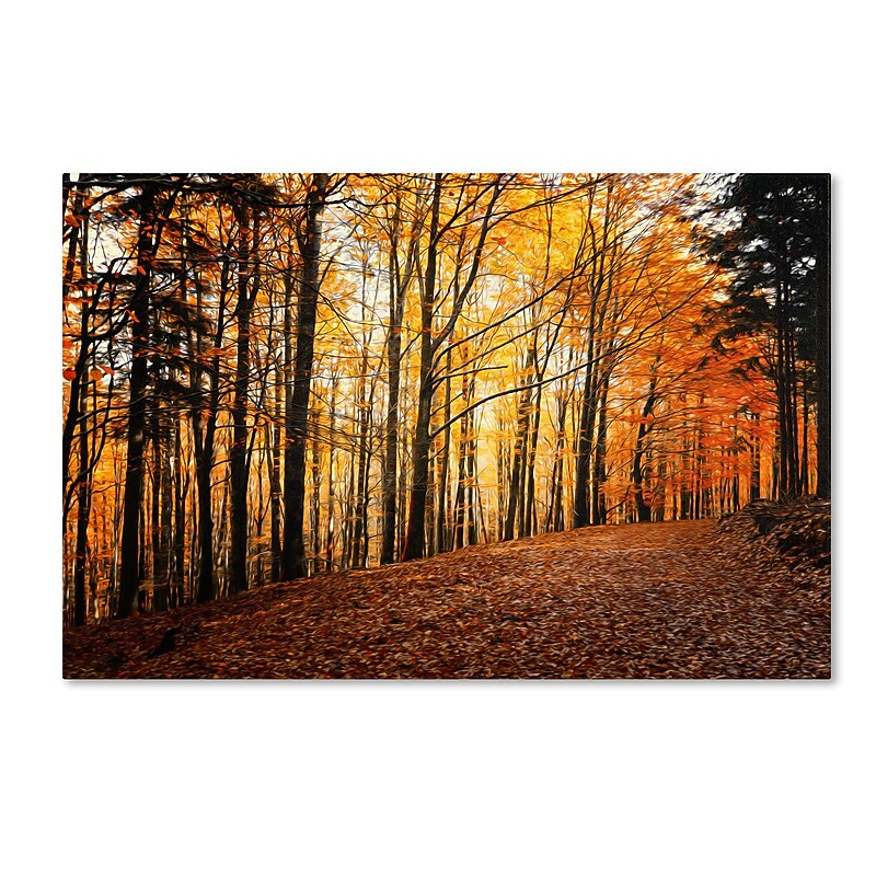 Trademark Philippe Sainte-Laudy "Autumn Leaves Pathway" Gallery-Wrapped Canvas Art, 16" x 24" image 1