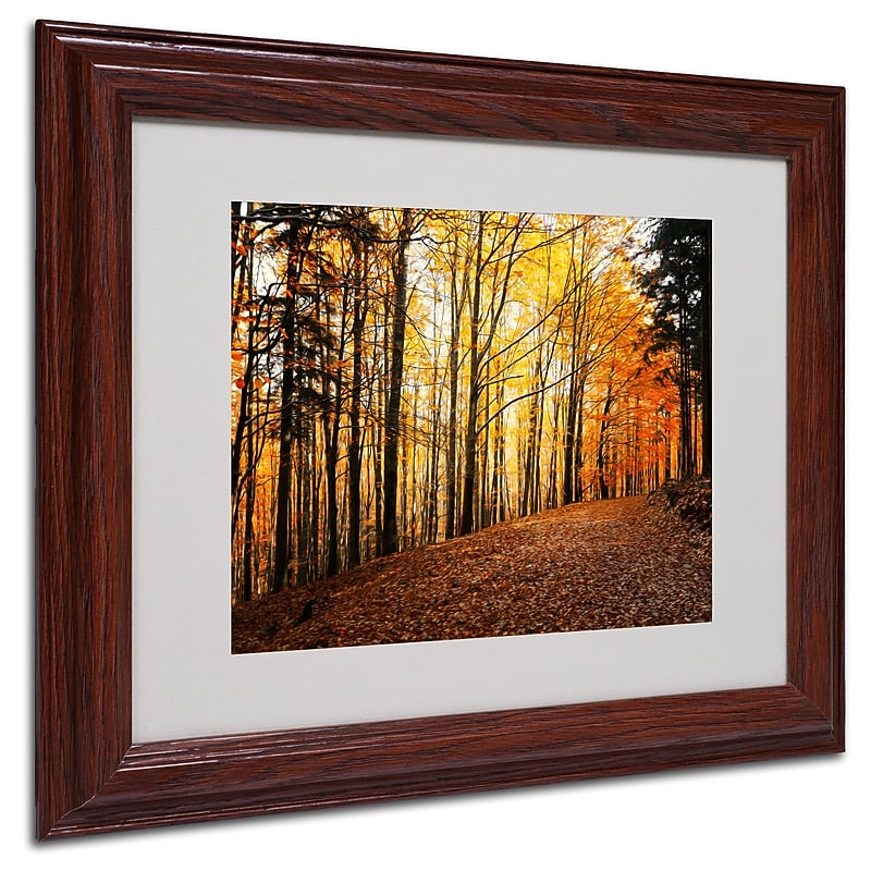 Trademark Philippe Sainte-Laudy "Autumn Leaves" Art, White Matte With Wood Frame, 11" x 14" image 1