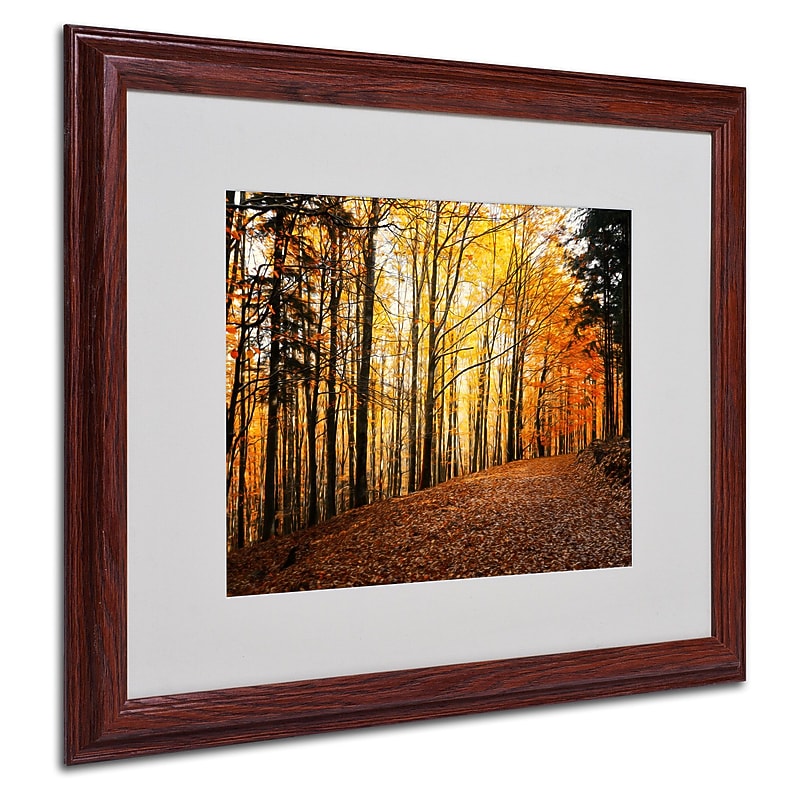 Trademark Philippe Sainte-Laudy "Autumn Leaves" Art, White Matte With Wood Frame, 16" x 20" image 1
