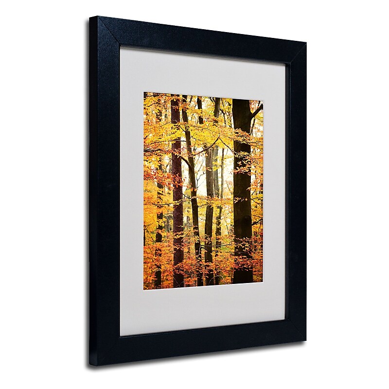 Trademark Philippe Sainte-Laudy "Between Us" Art, White Matte With Black Frame, 11" x 14" image 1