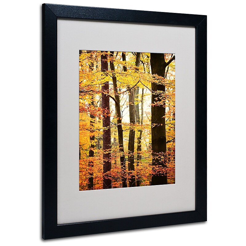 Trademark Philippe Sainte-Laudy "Between Us" Art, White Matte With Black Frame, 16" x 20" image 1