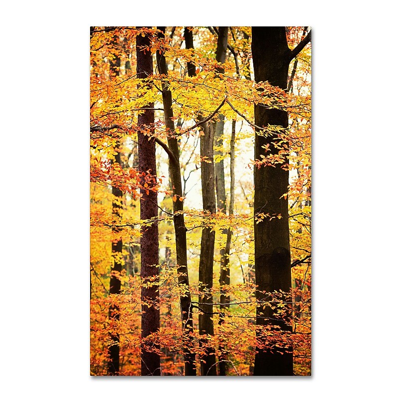 Trademark Philippe Sainte-Laudy "Between Us" Gallery-Wrapped Canvas Art, 12" x 19" image 1