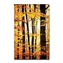 Trademark Philippe Sainte-Laudy "Between Us" Gallery-Wrapped Canvas Art, 12" x 19"~#|#~m001703617_sc7