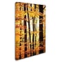 Trademark Philippe Sainte-Laudy "Between Us" Gallery-Wrapped Canvas Art, 12" x 19"~#|#~m001703618_sc7