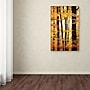 Trademark Philippe Sainte-Laudy "Between Us" Gallery-Wrapped Canvas Art, 12" x 19"~#|#~m001703619_sc7