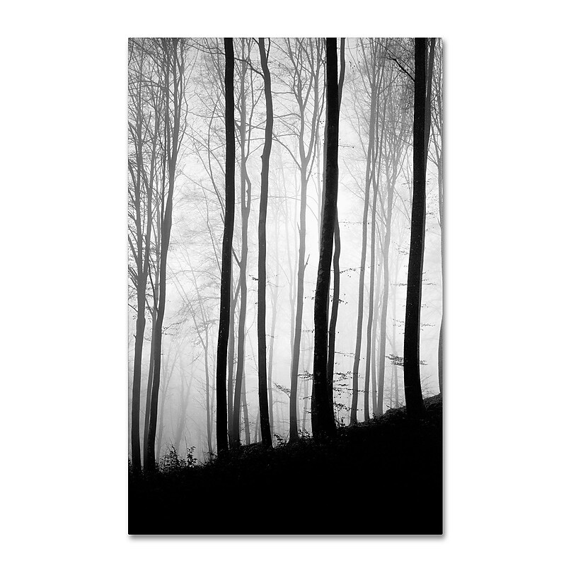 Trademark Philippe Sainte-Laudy "Black Lines" Gallery-Wrapped Canvas Art, 16" x 24" image 1