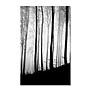 Trademark Philippe Sainte-Laudy "Black Lines" Gallery-Wrapped Canvas Art, 16" x 24"~#|#~m001703630_sc7