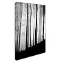 Trademark Philippe Sainte-Laudy "Black Lines" Gallery-Wrapped Canvas Art, 16" x 24"~#|#~m001703631_sc7
