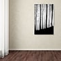 Trademark Philippe Sainte-Laudy "Black Lines" Gallery-Wrapped Canvas Art, 16" x 24"~#|#~m001703632_sc7