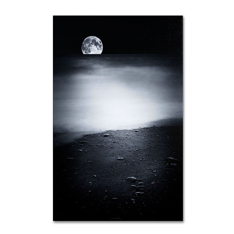 Trademark Philippe Sainte-Laudy "Black Sweat" Gallery-Wrapped Canvas Art, 30" x 47" image 1