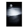 Trademark Philippe Sainte-Laudy "Black Sweat" Gallery-Wrapped Canvas Art, 30" x 47"~#|#~m001703643_sc7