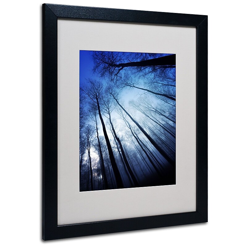 Trademark Philippe Sainte-Laudy "Blue Forest" Art, White Matte With Black Frame, 16" x 20" image 1
