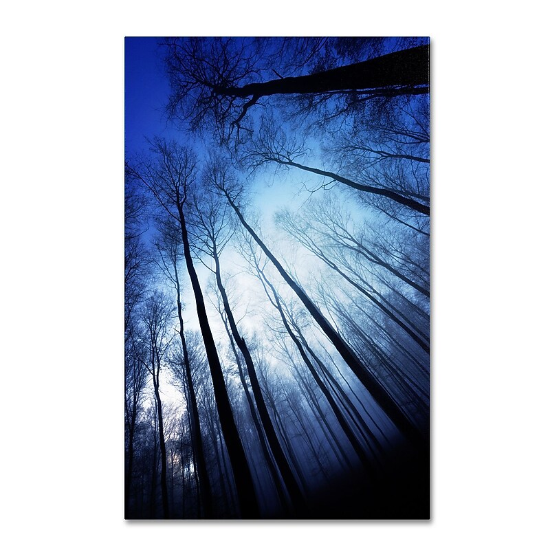 Trademark Philippe Sainte-Laudy "Blue Forest" Gallery-Wrapped Canvas Art, 16" x 24" image 1