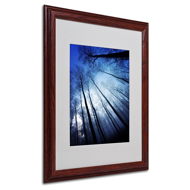 Trademark Philippe Sainte-Laudy "Blue Forest" Art, White Matte With Wood Frame, 16" x 20" image 1