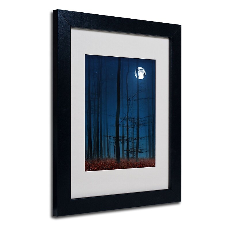 Trademark Philippe Sainte-Laudy "Blue Note" Art, White Matte With Black Frame, 11" x 14" image 1