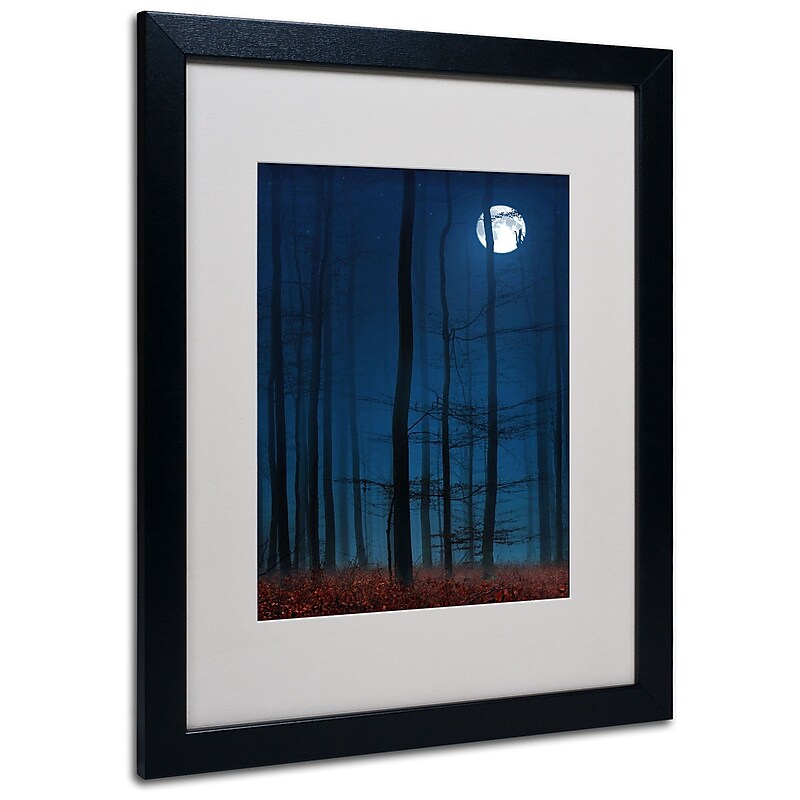 Trademark Philippe Sainte-Laudy "Blue Note" Art, White Matte With Black Frame, 16" x 20" image 1