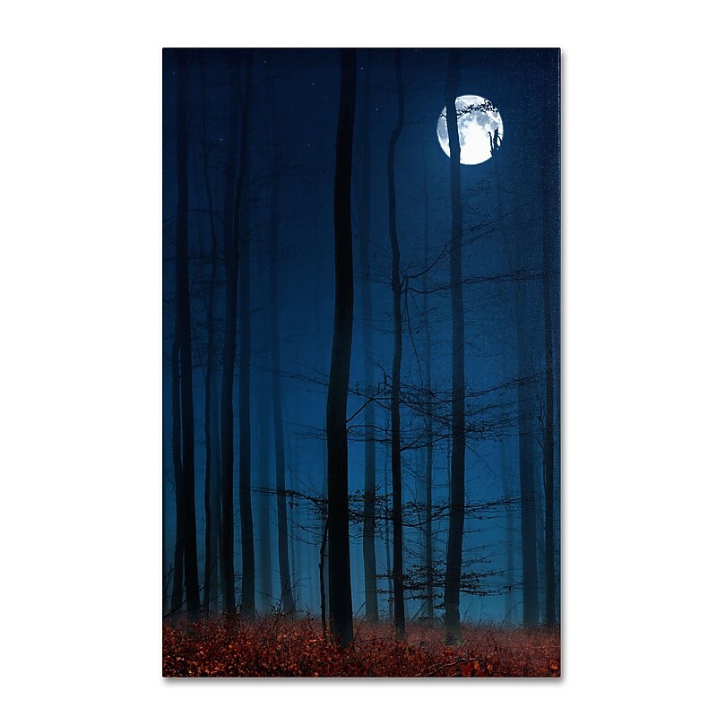 Trademark Philippe Sainte-Laudy "Blue Note" Gallery-Wrapped Canvas Art, 30" x 47" image 1