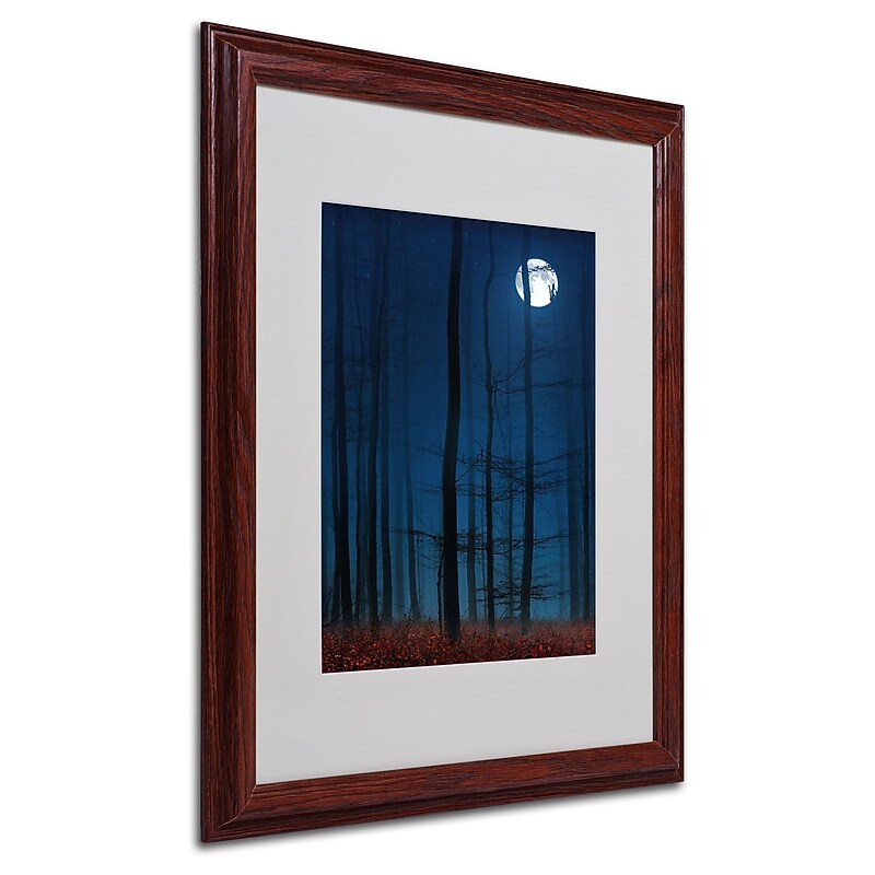 Trademark Philippe Sainte-Laudy "Blue Note" Art, White Matte With Wood Frame, 16" x 20" image 1