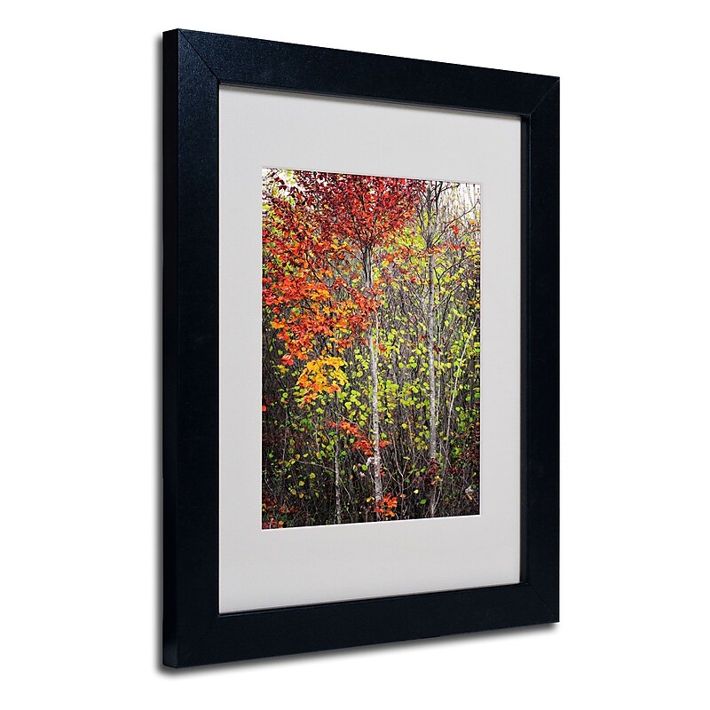 Trademark Philippe Sainte-Laudy "Colour Touch" Art, White Matte With Black Frame, 11" x 14" image 1