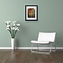 Trademark Philippe Sainte-Laudy "Colour Touch" Art, White Matte With Black Frame, 11" x 14"~#|#~m001703692_sc7