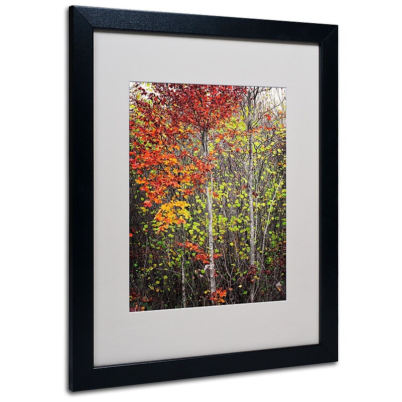 Trademark Philippe Sainte-Laudy "Colour Touch" Art, White Matte With Black Frame, 16" x 20" image 1