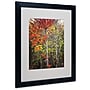 Trademark Philippe Sainte-Laudy "Colour Touch" Art, White Matte With Black Frame, 16" x 20"~#|#~m001703693_sc7
