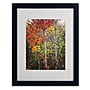 Trademark Philippe Sainte-Laudy "Colour Touch" Art, White Matte With Black Frame, 16" x 20"~#|#~m001703694_sc7