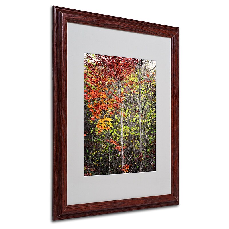 Trademark Philippe Sainte-Laudy "Colour Touch" Art, White Matte With Wood Frame, 16" x 20" image 1