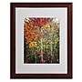 Trademark Philippe Sainte-Laudy "Colour Touch" Art, White Matte With Wood Frame, 16" x 20"~#|#~m001703702_sc7