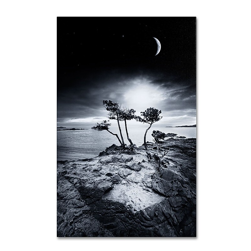 Trademark Philippe Sainte-Laudy "Emotional High" Gallery-Wrapped Canvas Art, 16" x 24" image 1