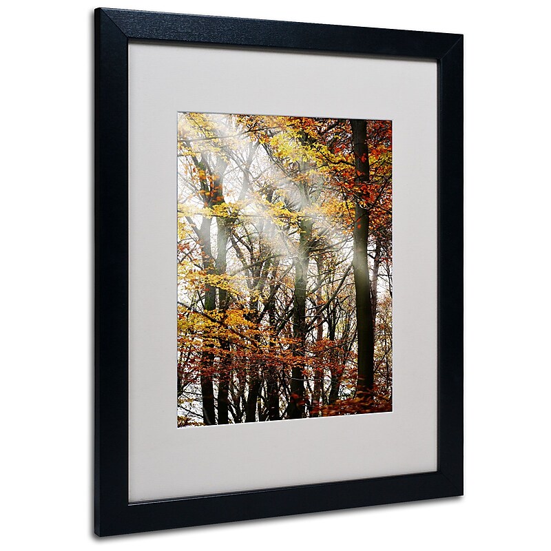 Trademark Philippe Sainte-Laudy "Just the Light" Art, White Matte With Black Frame, 16" x 20" image 1