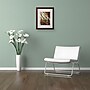 Trademark Philippe Sainte-Laudy "Just the Light" Art, White Matte With Wood Frame, 16" x 20"~#|#~m001703765_sc7
