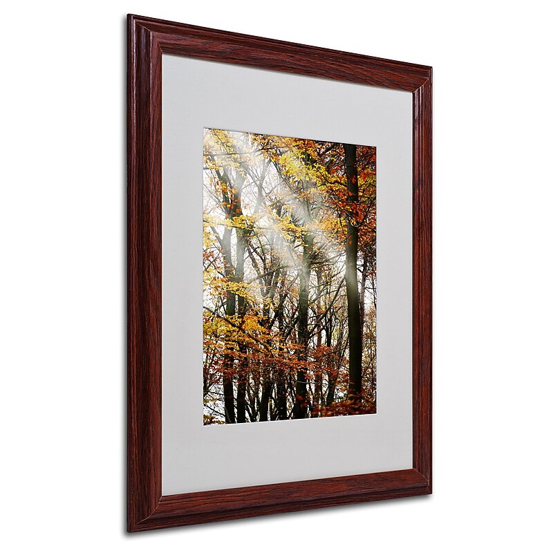 Trademark Philippe Sainte-Laudy "Just the Light" Art, White Matte With Wood Frame, 16" x 20" image 1