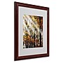 Trademark Philippe Sainte-Laudy "Just the Light" Art, White Matte With Wood Frame, 16" x 20"~#|#~m001703766_sc7