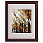 Trademark Philippe Sainte-Laudy "Just the Light" Art, White Matte With Wood Frame, 16" x 20"~#|#~m001703767_sc7