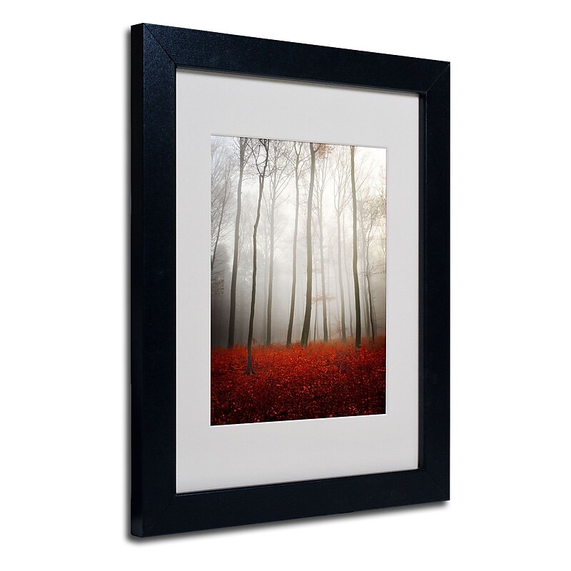 Trademark Philippe Sainte-Laudy "Leafless" Art, White Matte With Black Frame, 11" x 14" image 1